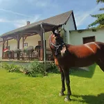 Holiday home Minor Major Vendeghaz