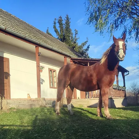 Minor Major Vendeghaz Ferienhaus Somogyacsa