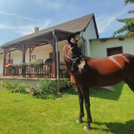 Holiday home Minor Major Vendeghaz