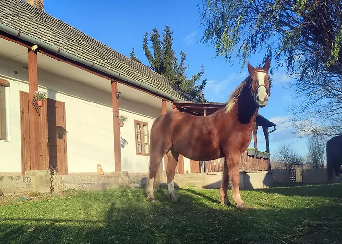 Minor Major Casa de Férias Somogyacsa