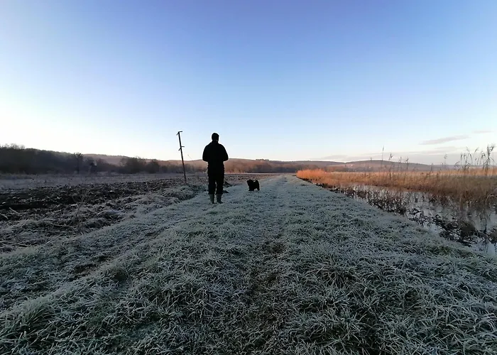 Casa de Férias Minor Major *