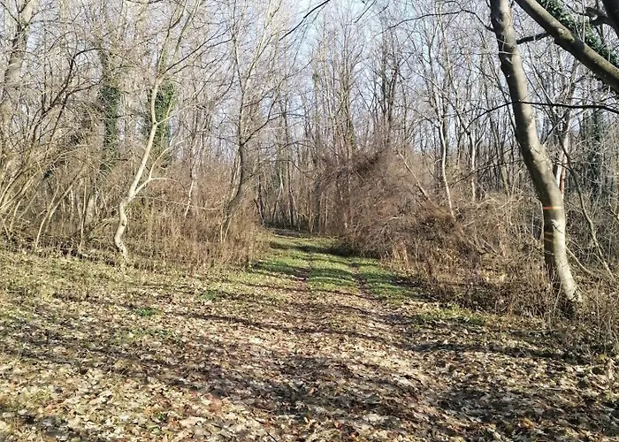 Minor Major Casa de Férias *